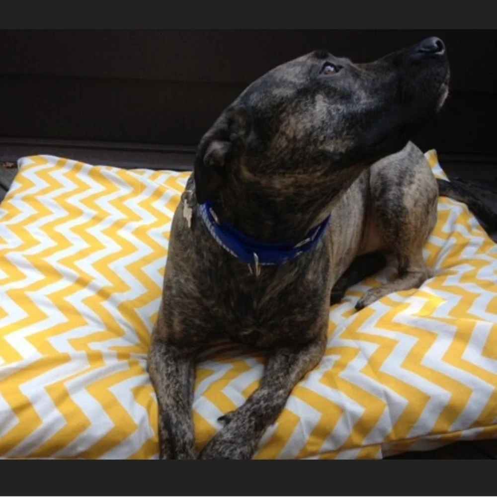 For Your Love of Dogs Yellow Chevron Dog Bed Cover